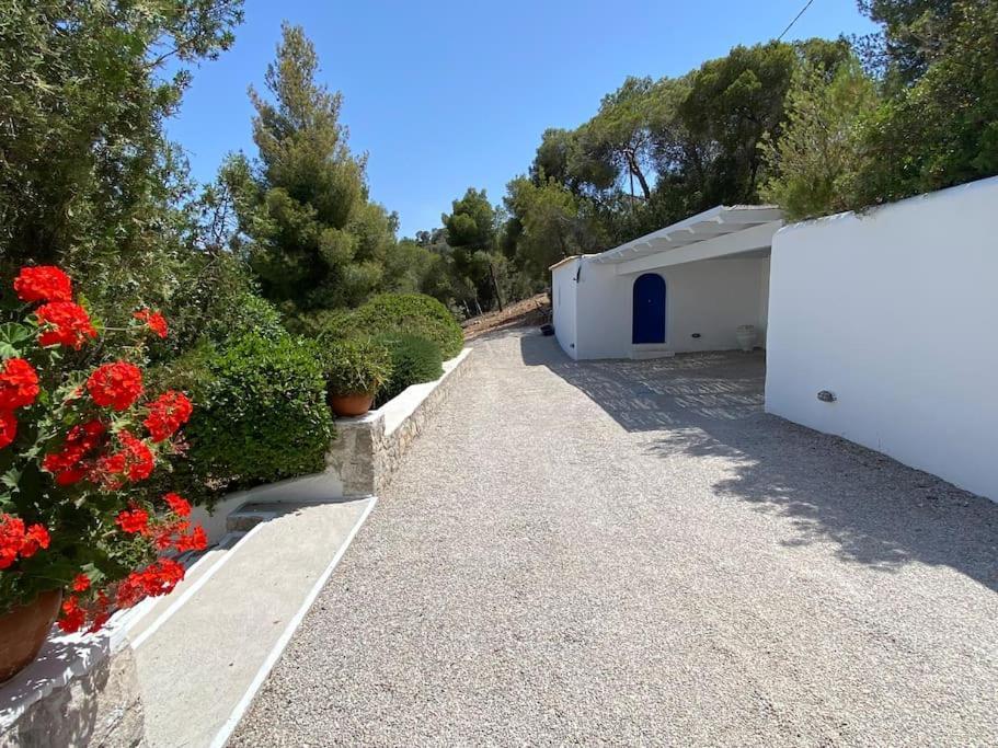 Retreat Villa By The Sea With Pool In Porto Heli Zewnętrze zdjęcie